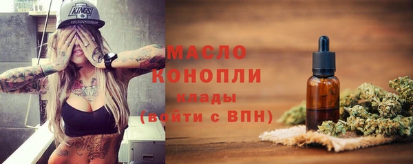 твердый Лагань