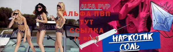твердый Лагань
