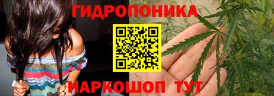 спиды Малгобек