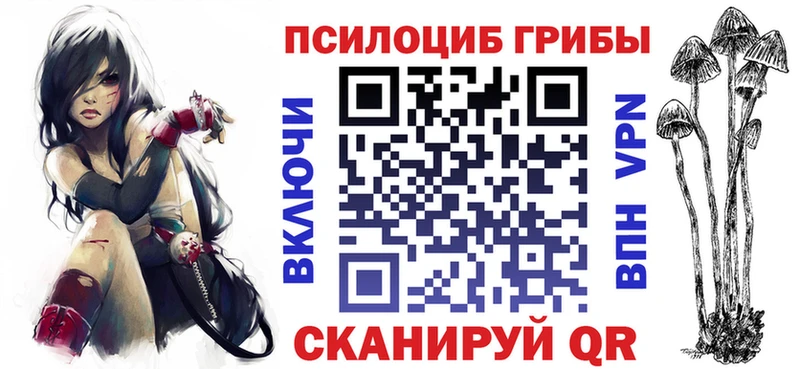 Галлюциногенные грибы Psilocybe  где купить наркоту  Хасавюрт 