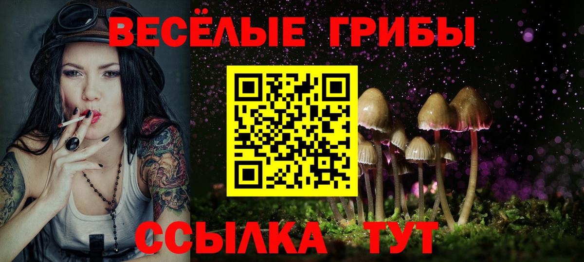 Хасавюрт  Псилоцибиновые грибы Magic Shrooms  Вход с VPN 